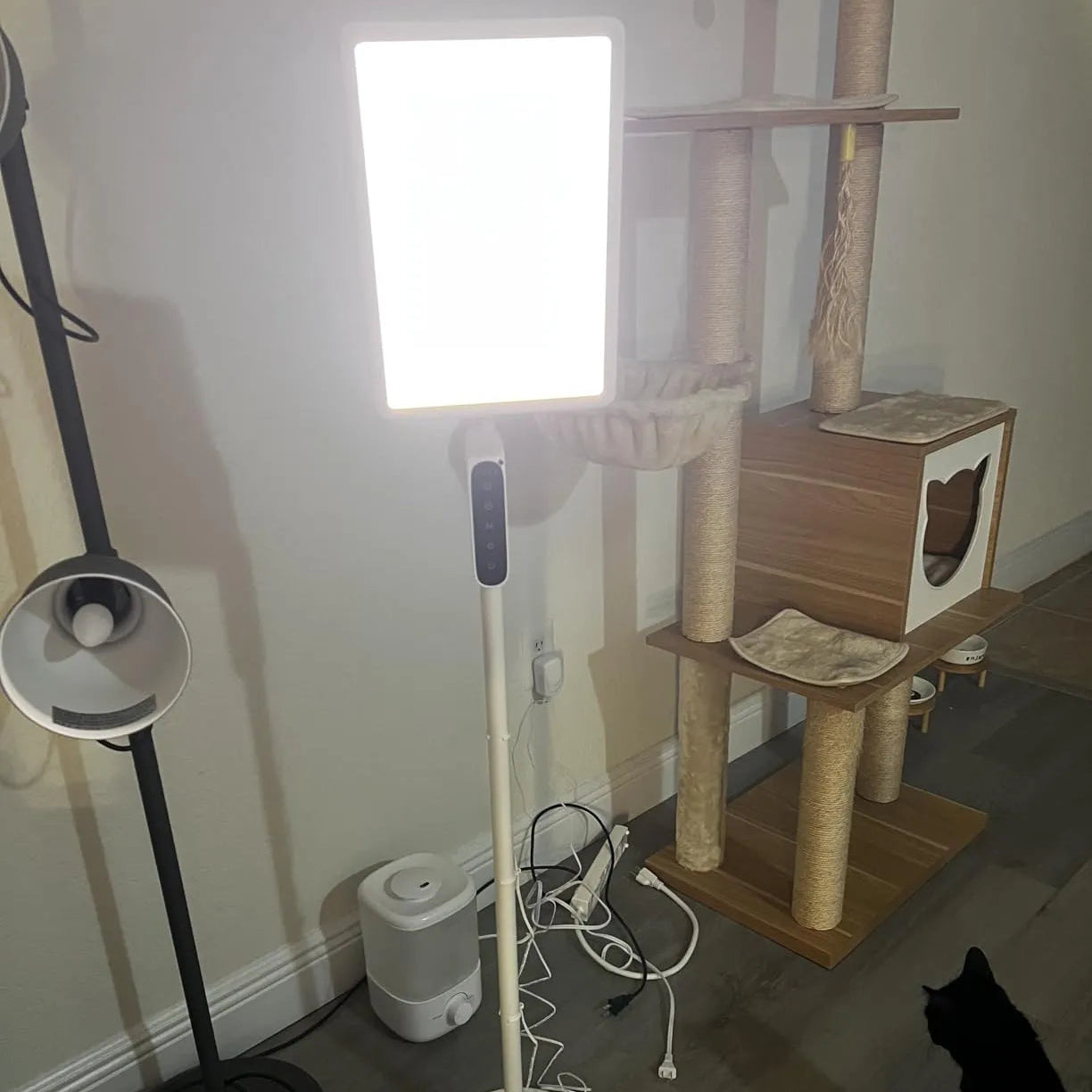 LASTAR Light Therapy Lamp Customer Reviews