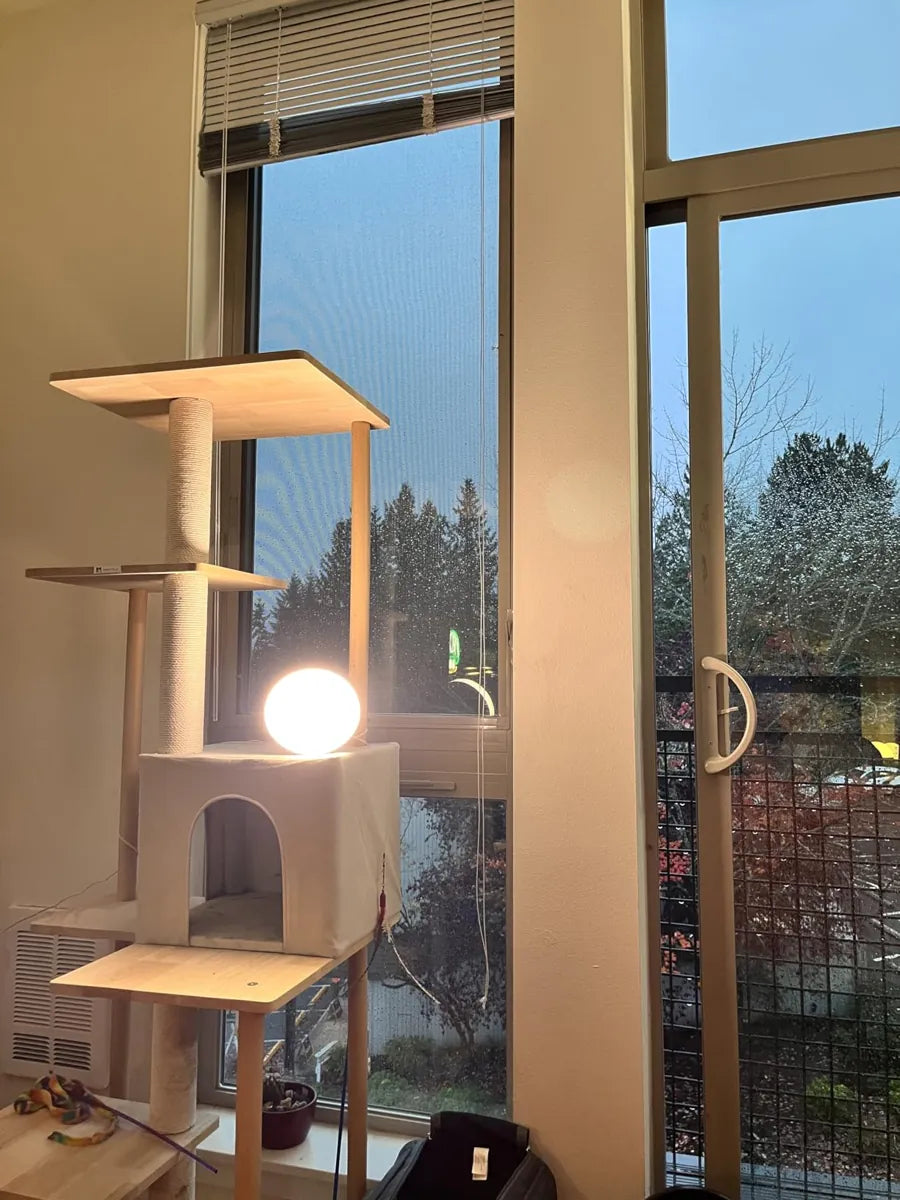 A round LASTAR lamp glowing warmly on a cat tree in front of a rainy window