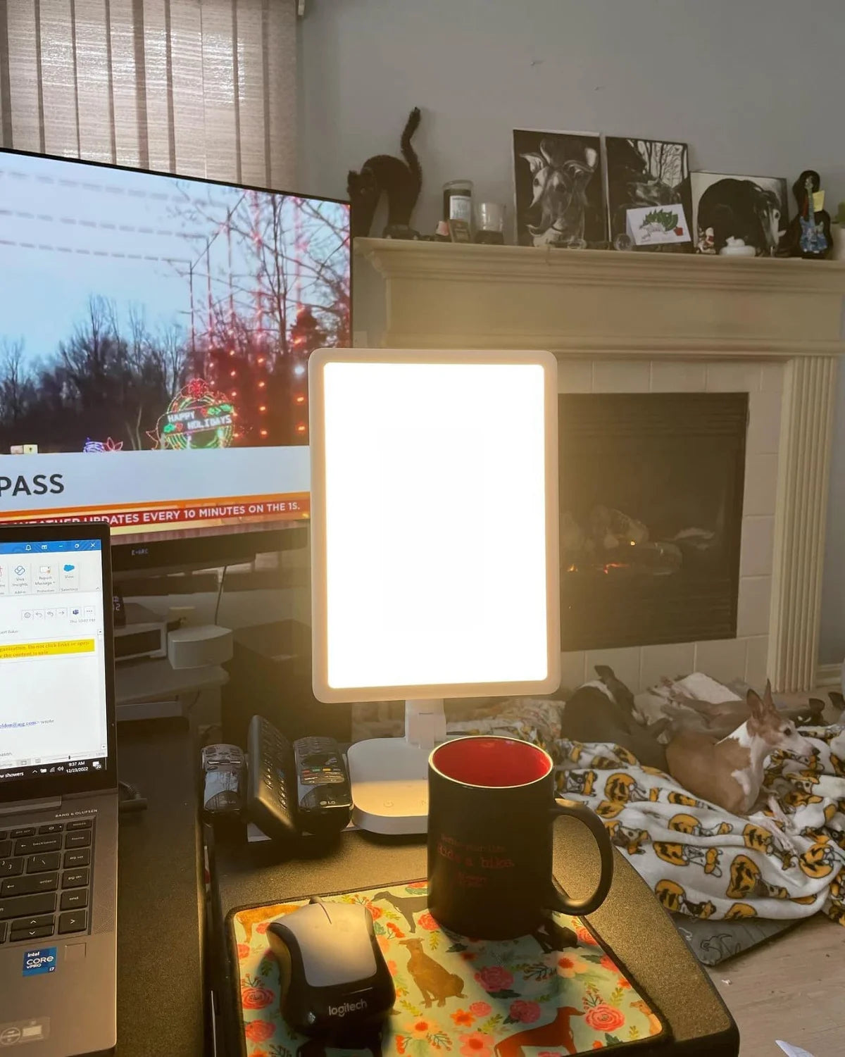 Plussun in use